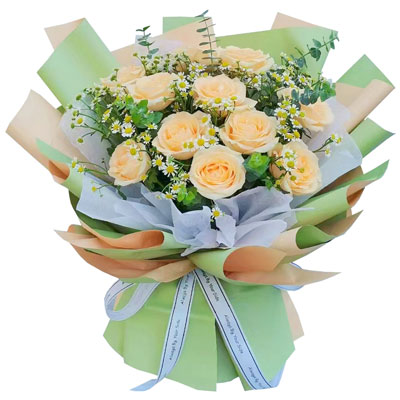合肥11朵香槟玫瑰洋甘菊,爱温暖幸福